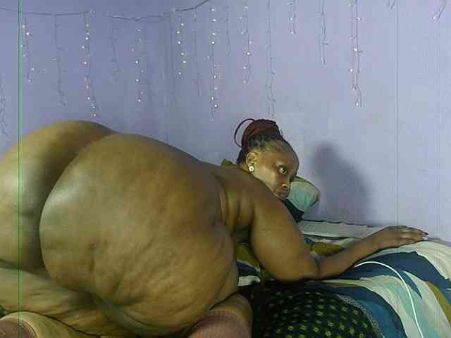 Big-Ass-Wilma webcam