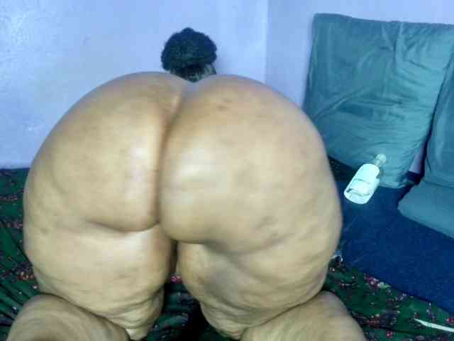 Big-Ass-Wilma webcam