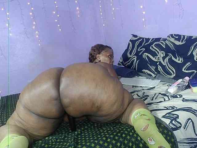 Big-Ass-Wilma webcam