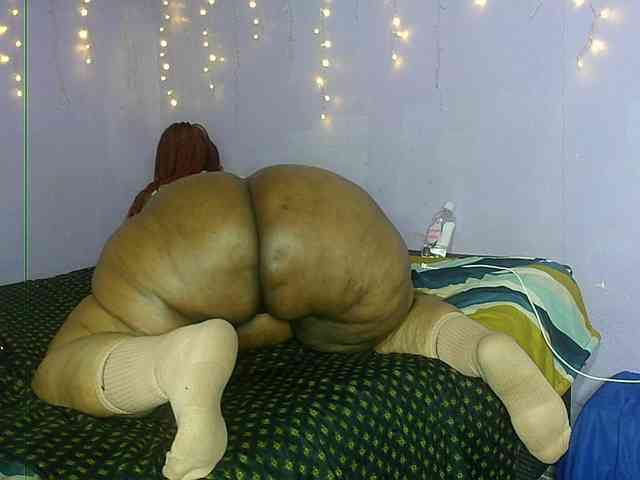 Big-Ass-Wilma webcam