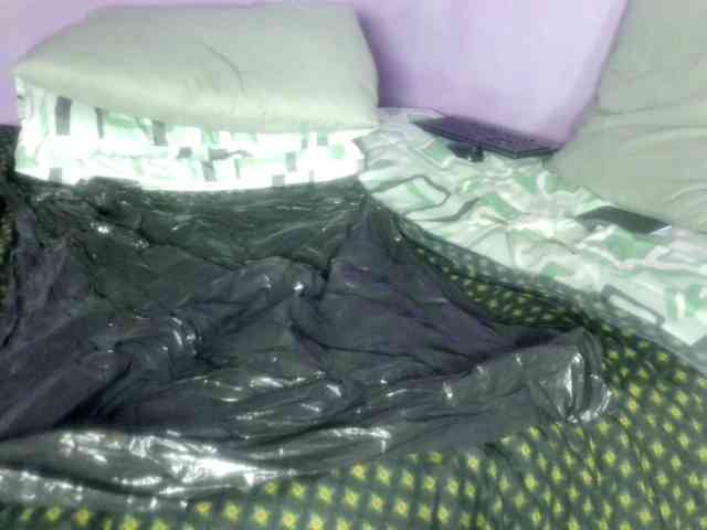 Big-Ass-Wilma webcam