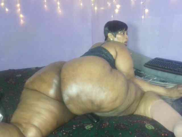 Big-Ass-Wilma webcam