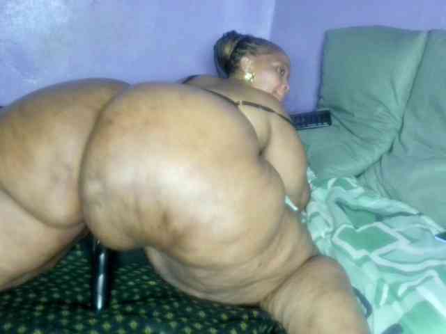 Big-Ass-Wilma webcam