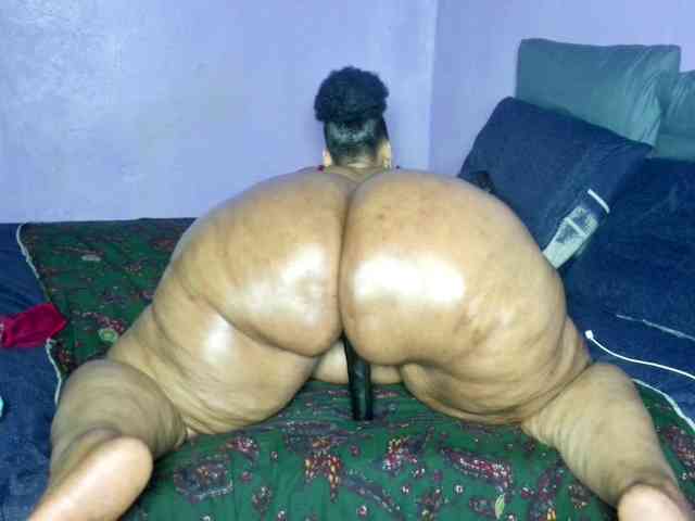 Big-Ass-Wilma webcam