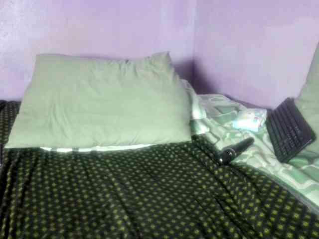 Big-Ass-Wilma webcam