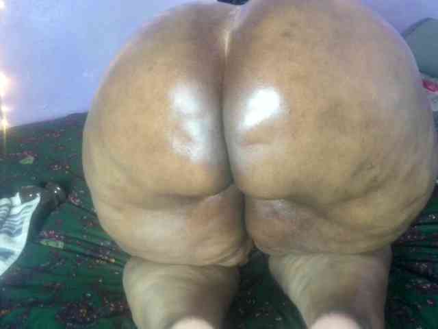 Big-Ass-Wilma webcam
