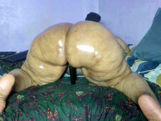 Big-Ass-Wilma webcam