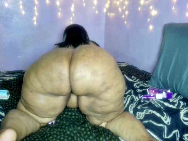 Big-Ass-Wilma webcam