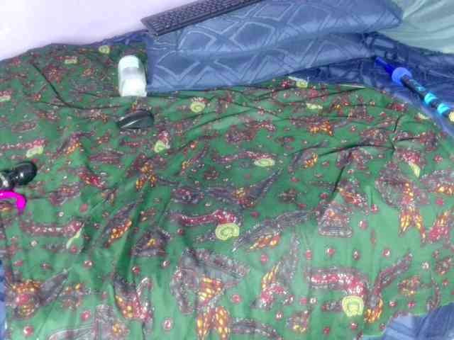 Big-Ass-Wilma webcam