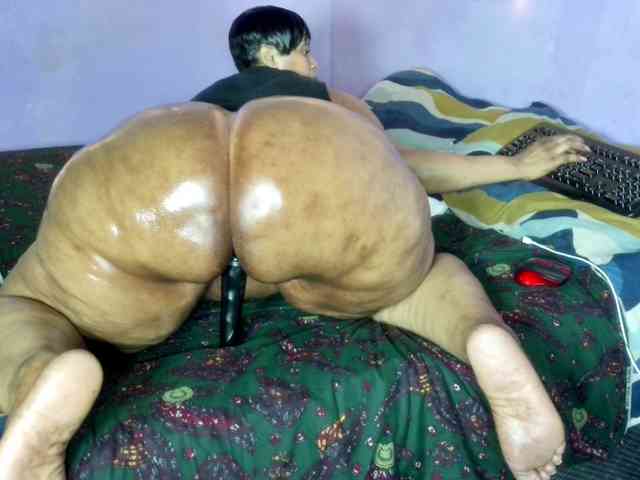 Big-Ass-Wilma webcam