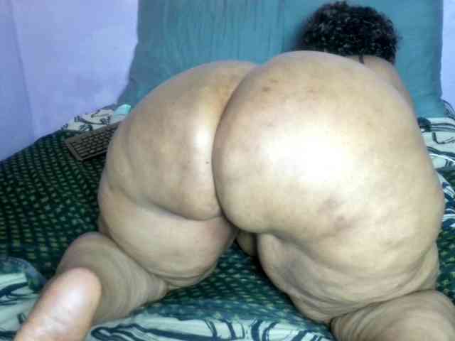 Big-Ass-Wilma webcam