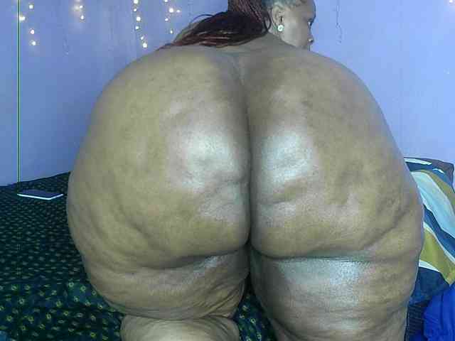 Big-Ass-Wilma webcam