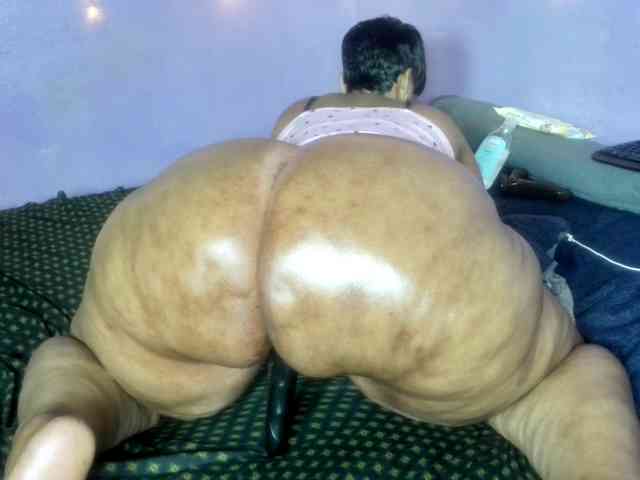 Big-Ass-Wilma Big-Ass-Wilma