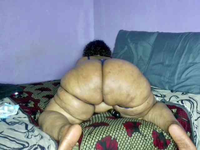 Big-Ass-Wilma webcam