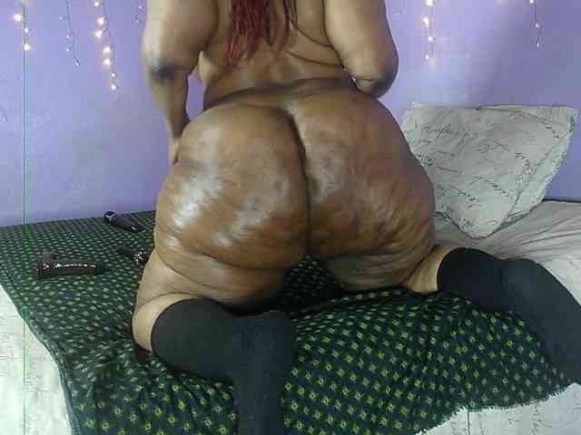Big-Ass-Wilma webcam