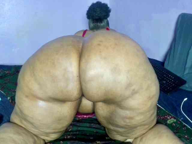 Big-Ass-Wilma webcam