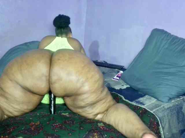 Big-Ass-Wilma webcam