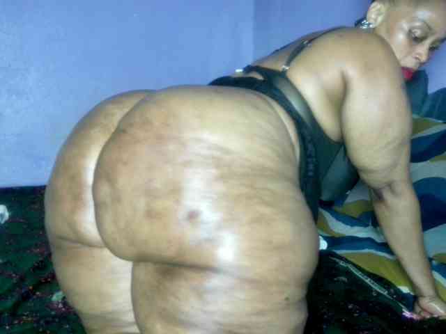 Big-Ass-Wilma webcam