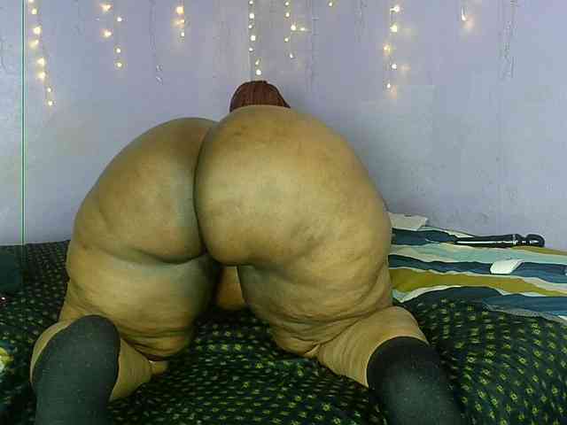 Big-Ass-Wilma webcam