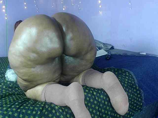 Big-Ass-Wilma webcam