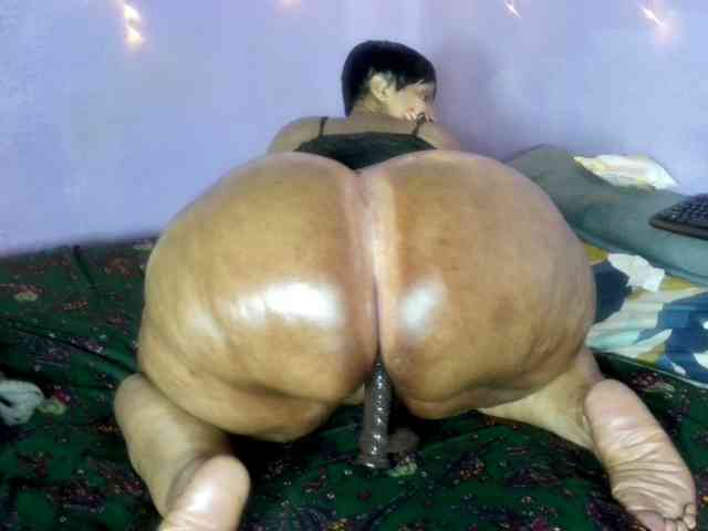 Big-Ass-Wilma webcam