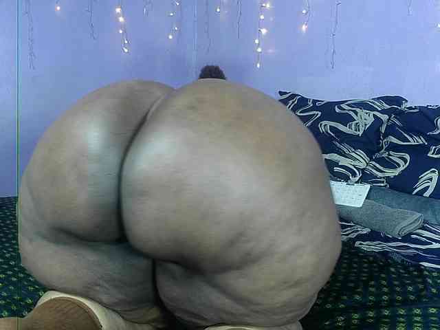 Big-Ass-Wilma webcam