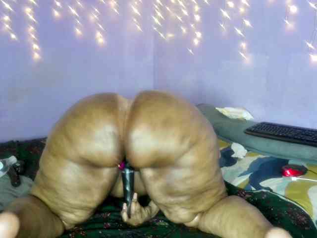 Big-Ass-Wilma webcam