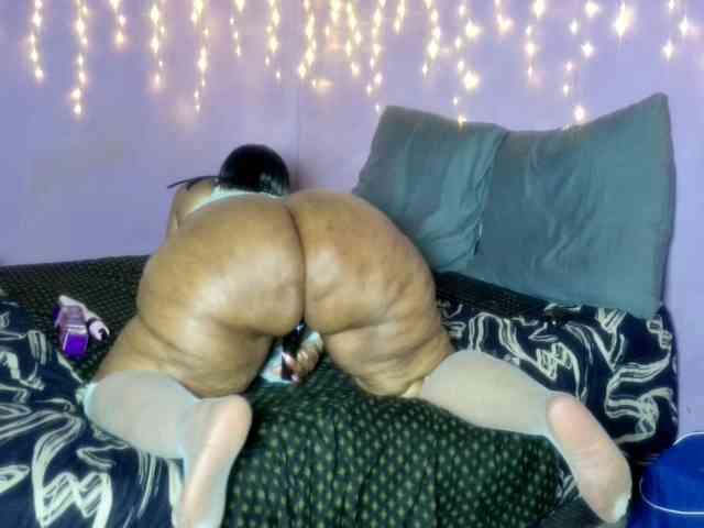 Big-Ass-Wilma webcam