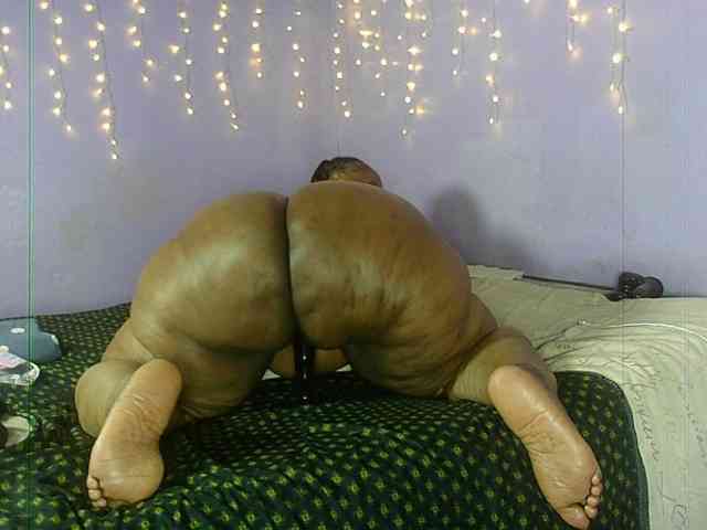 Big-Ass-Wilma webcam