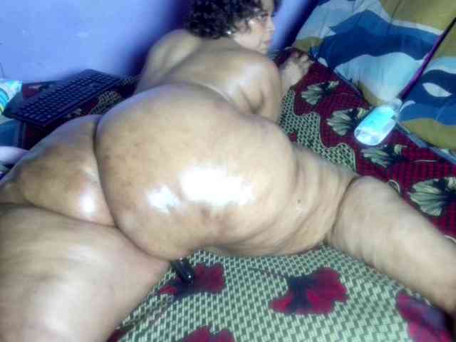 Big-Ass-Wilma webcam