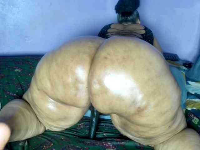 Big-Ass-Wilma webcam