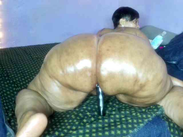 Big-Ass-Wilma Big-Ass-Wilma