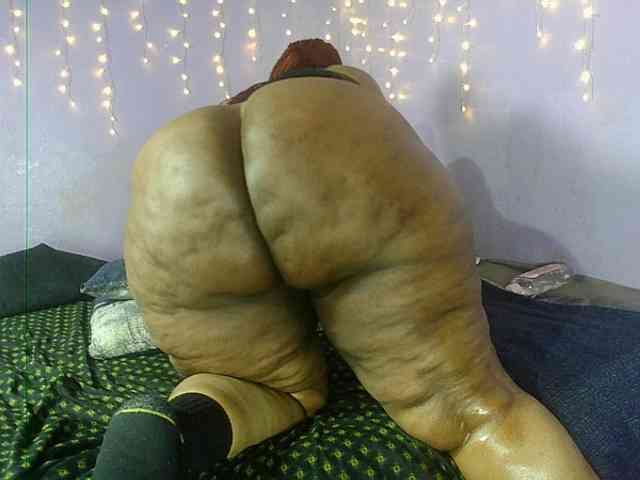 Big-Ass-Wilma webcam