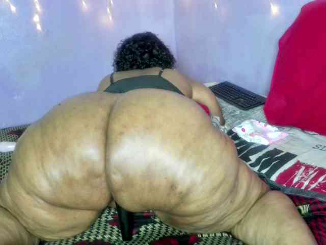 Big-Ass-Wilma webcam