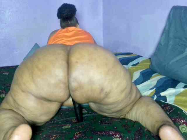 Big-Ass-Wilma webcam