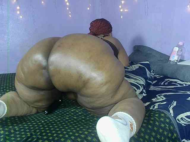 Big-Ass-Wilma webcam