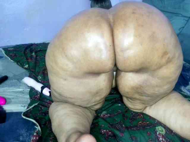 Big-Ass-Wilma webcam