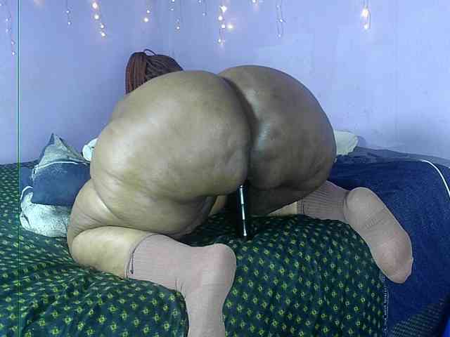 Big-Ass-Wilma webcam