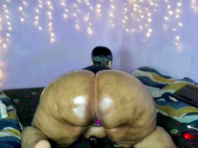 Big-Ass-Wilma webcam