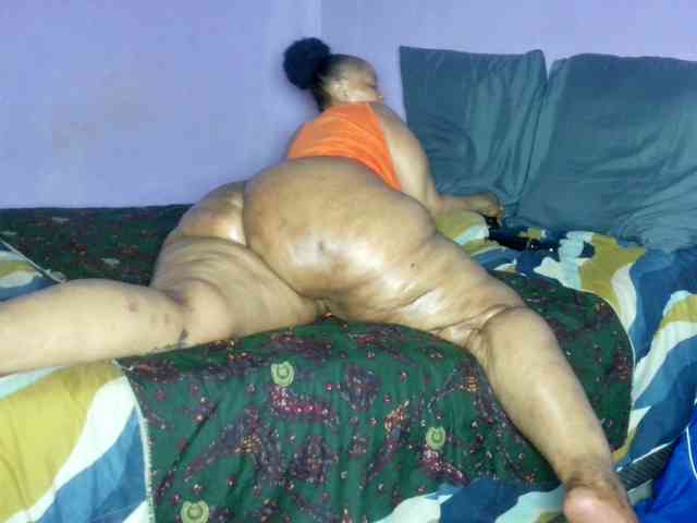 Big-Ass-Wilma webcam