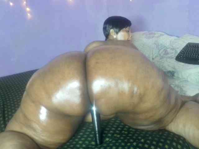 Big-Ass-Wilma webcam