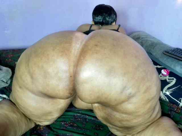 Big-Ass-Wilma webcam