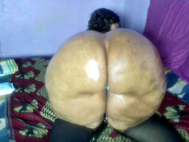 Big-Ass-Wilma webcam