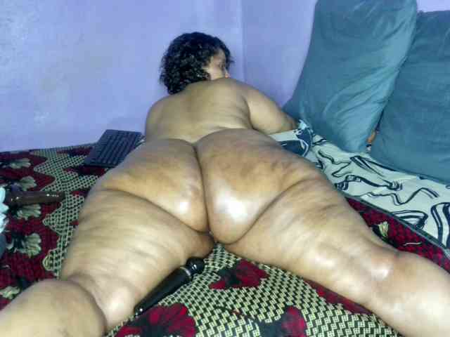 Big-Ass-Wilma webcam