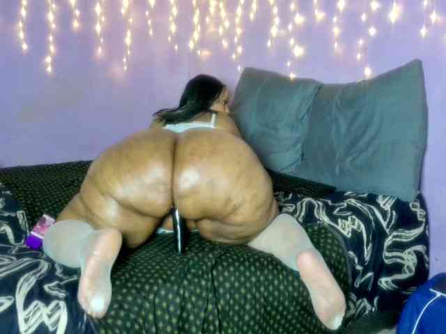 Big-Ass-Wilma webcam