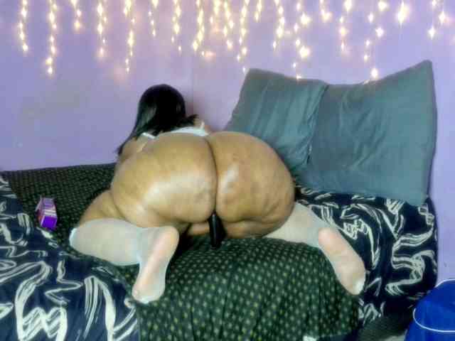 Big-Ass-Wilma webcam