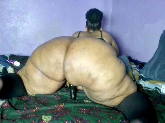 Big-Ass-Wilma webcam