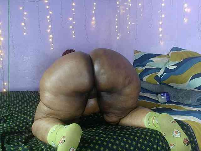 Big-Ass-Wilma webcam