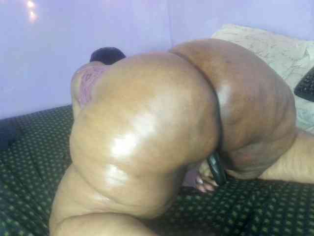 Big-Ass-Wilma webcam