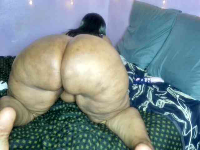 Big-Ass-Wilma webcam